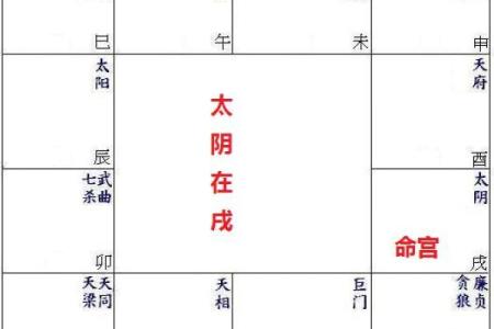 紫微斗数太阴星详解