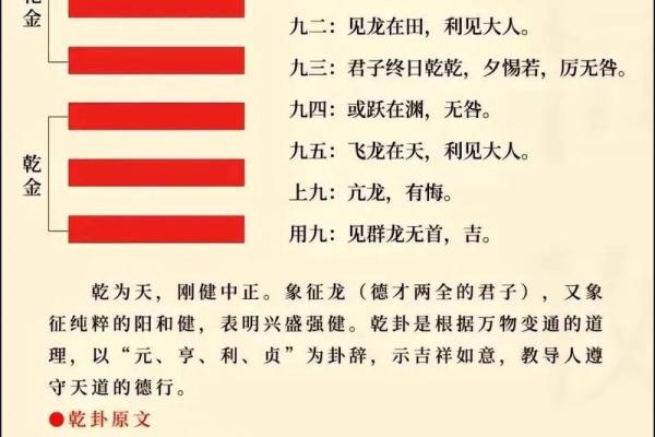 紫微斗数之八卦万物类象：乾卦详解