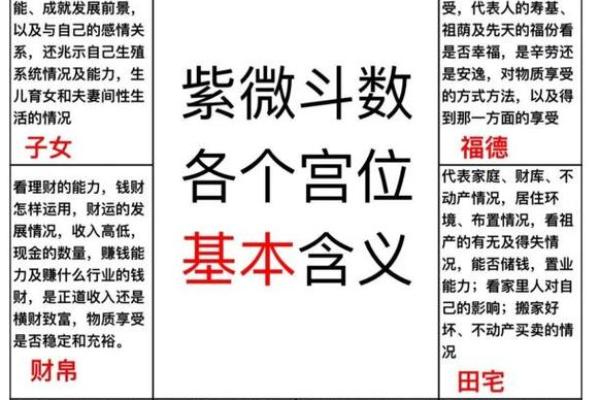 紫薇斗数外国人 紫薇斗数外国人