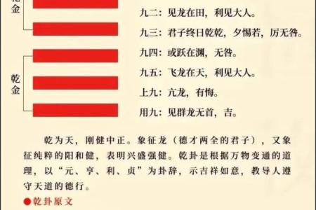 紫微斗数之八卦万物类象：乾卦详解