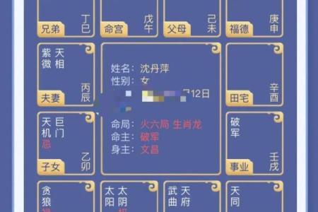 刘邦紫薇斗数命盘