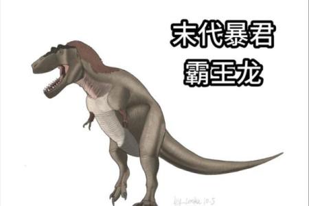 哪个星座的女生喜欢霸王龙男