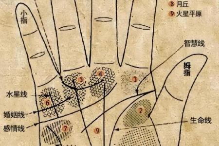图解：手相小人纹如何算命