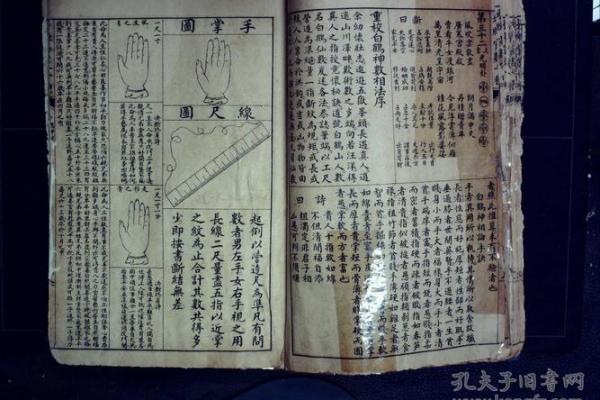 牙齿算命 有鬼牙不吉利吗