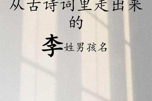 李姓男孩名字大全-李姓男孩起名字大全-李姓名字大全姓名 李姓男孩名字大全-李姓男孩起名字大全-李姓名字大全姓名