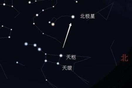 紫薇星北极星是什么龙