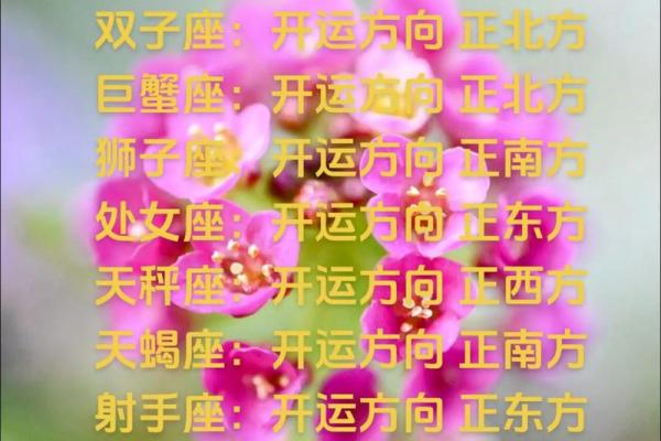 十二星座运势42 十二星座运势42