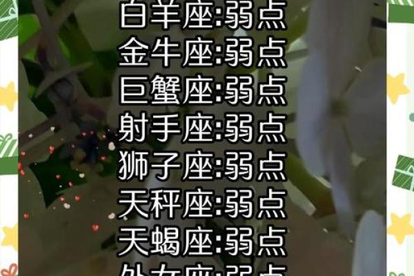 双子座最吸引哪几个星座男生