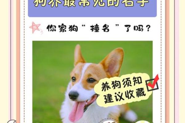 晚上7点出生的属狗男孩怎么取名，用什么字好姓名