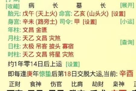 丁酉丙午癸酉丁巳，解析八字命盘的五行属性和性格特点