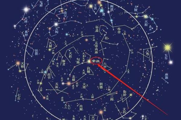 紫薇斗数大财星