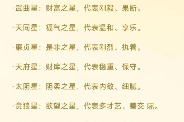 紫薇斗数大财星