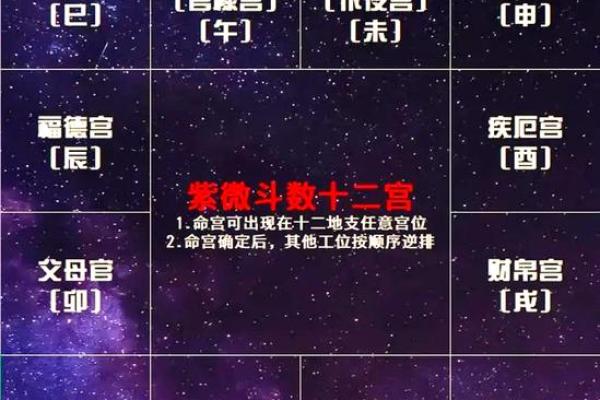 紫微星入命宫与其他星曜之关系分析#紫微斗数教学 紫微星入命宫与其他星曜之关系分析#紫微斗数教学