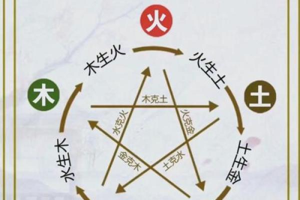 商业：办公养花风水与五行八卦