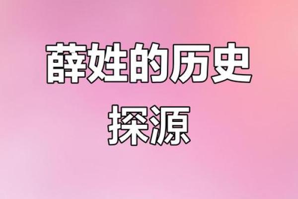 薛姓女孩名字大全-薛姓女孩起名字大全-薛姓名字大全姓名