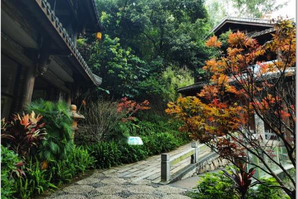 算命花园是什么