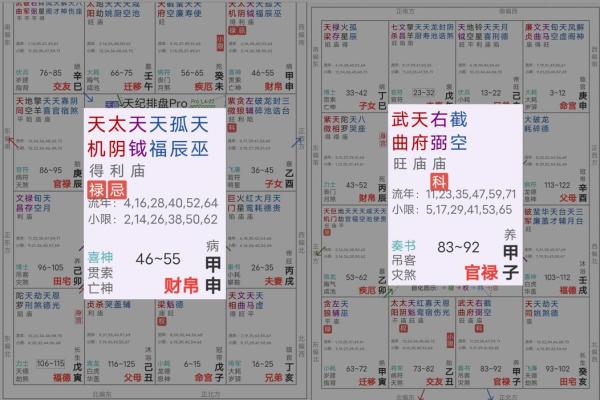 紫薇斗数看自己财富 紫薇斗数看自己财富