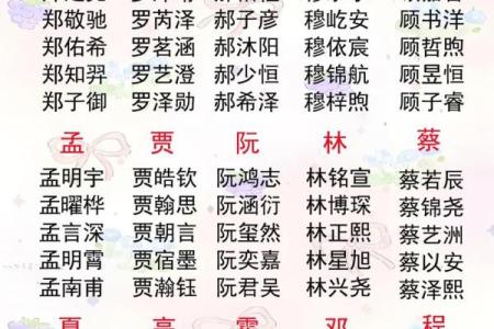 八字姓名起名,起名生辰八字取名字