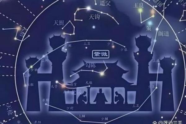 命带紫薇星是什么 命带紫薇星是什么