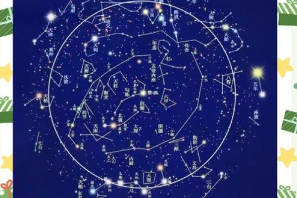 命带紫薇星是什么 命带紫薇星是什么