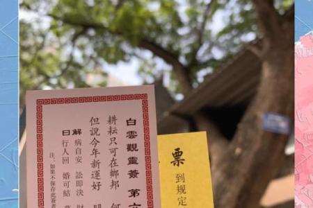 灵顺寺解签任雨风千万状