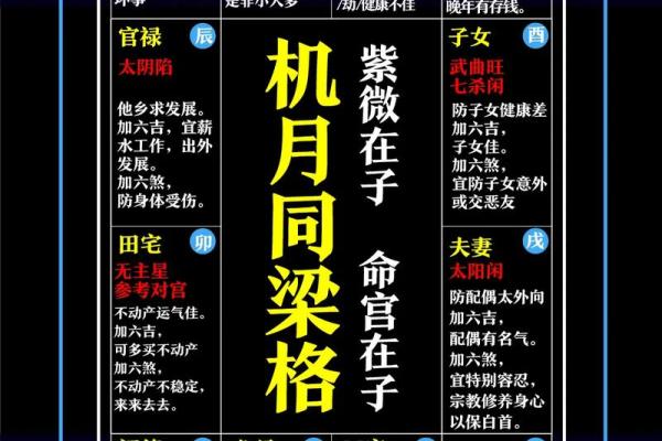 名人紫薇斗数格局 名人紫薇斗数格局