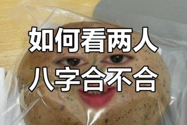怎么查俩人八字合不合？