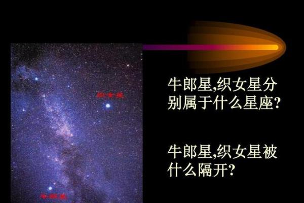 牛郎星是什么星座