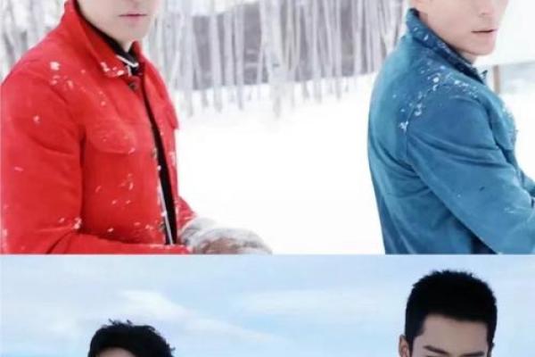 胡歌和霍建华星座分析 胡歌和霍建华星座分析