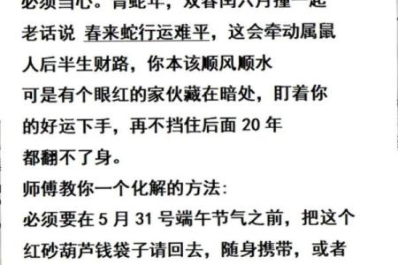 婚姻算命,1972年的男鼠配什么生肖蕞好