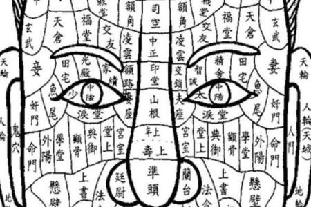 面相算命看法的特征,面相的基本看法