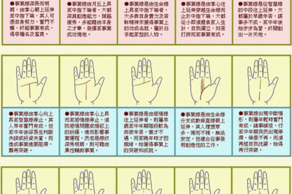 从手相和八字命理解读恋母情节