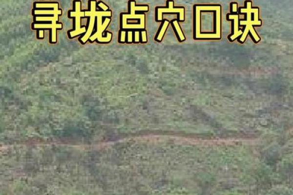阴宅的周围山路风水,有何讲究 阴宅的周围山路风水,有何讲究