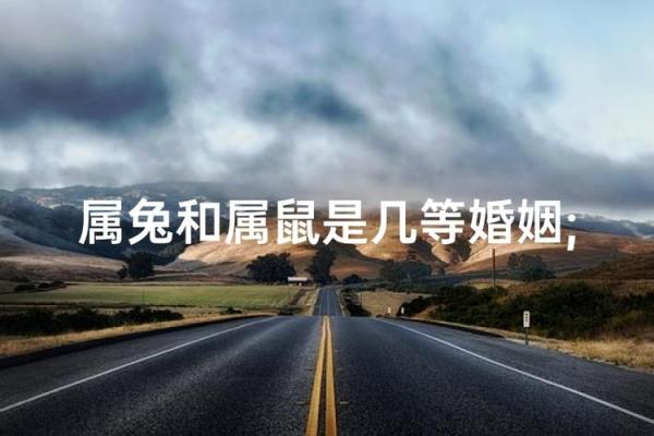 属兔和属鼠的八字合吗 属兔和属鼠的八字合吗