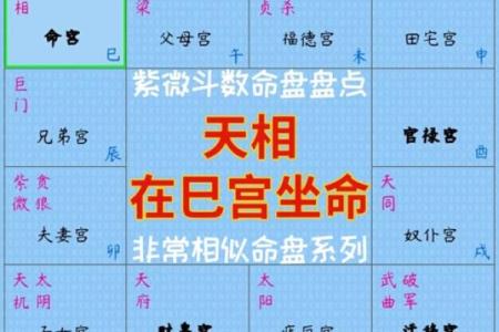 八字主星和命格的关系