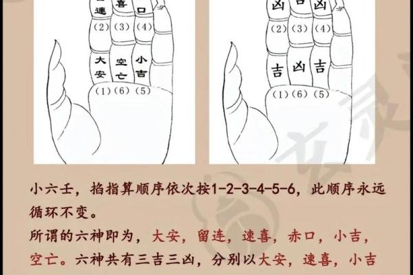 算命手掌,小六壬怎样算生辰八字