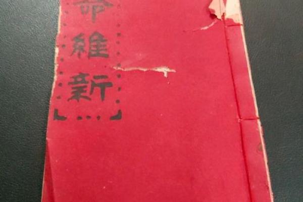 下载批八字 下载批八字