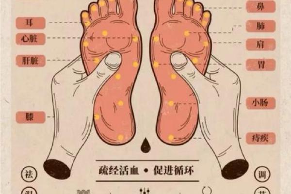 看相算命：详解脚底穴位图