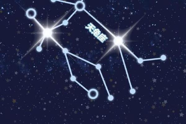 哪个星座能治双子男的