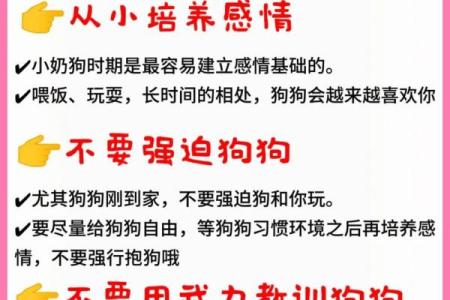 关爱单身汪，八字教你如何轻松脱单
