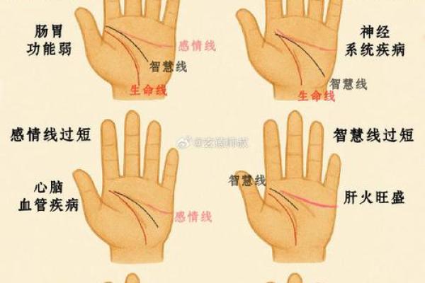 如何通过手相手纹算命-
