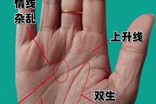 如何通过手相手纹算命-