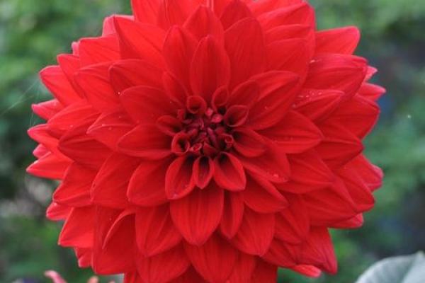 算命说我先结果后开花