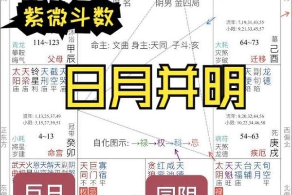 紫薇斗数实战视频