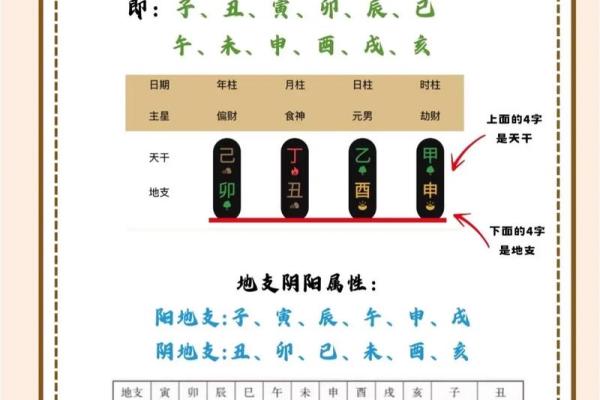 八字天干地支怎么看