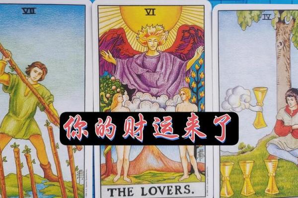 塔罗测试：你在职场最大的缺点-