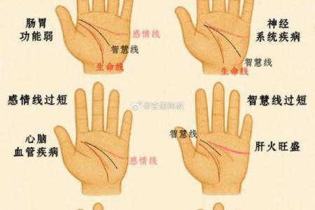 如何通过手相手纹算命-