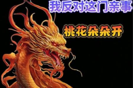 紫薇斗数实战视频