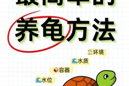 家里养乌龟需注意哪些风水问题