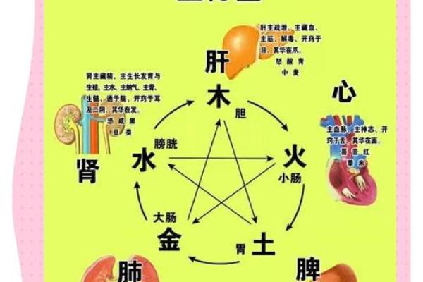 阴阳五行是八字命理的基础